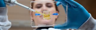 image below transparent slide with scientist adding solution via a pipette